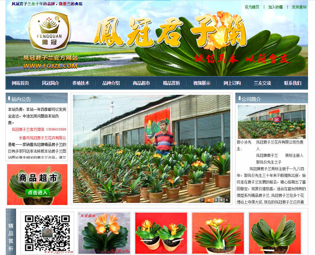 网站做外链在网站建设中的几种方案